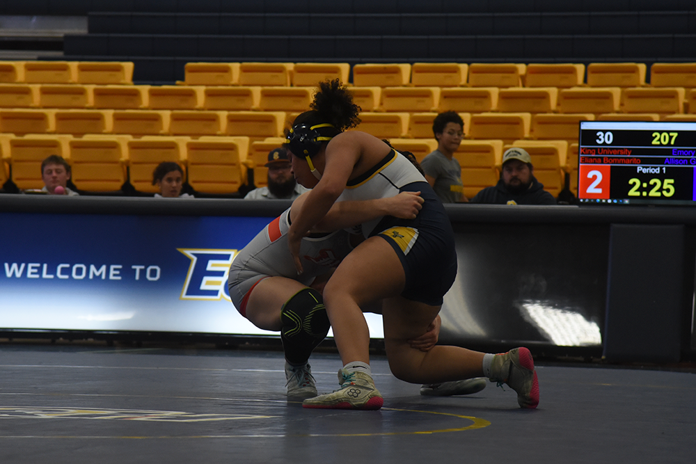 Wasps finish 11th at NCAA Region III Championships